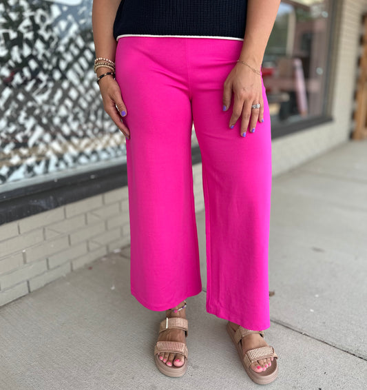 Power Pop Pants - Hot Pink S-3X